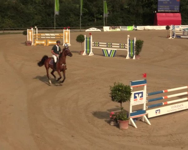 Großes Reit- und Springturnier Herbern 2016
