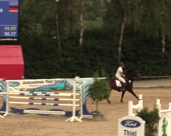 Großes Reit- und Springturnier Herbern 2016
