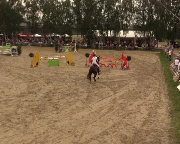 Großes Reit- und Springturnier Herbern 2016