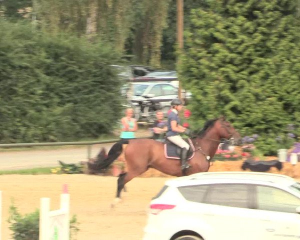 Großes Reit- und Springturnier Herbern 2016