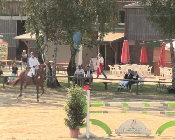 Großes Reit- und Springturnier Herbern 2016