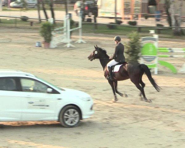 Großes Reit- und Springturnier Herbern 2016