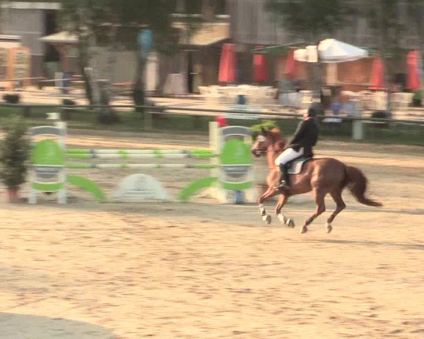 Großes Reit- und Springturnier Herbern 2016