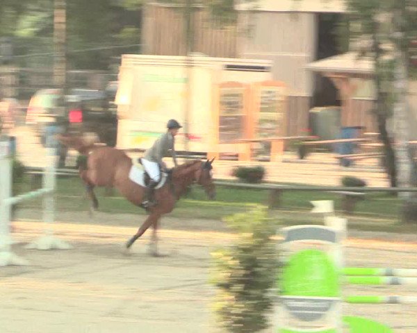 Großes Reit- und Springturnier Herbern 2016