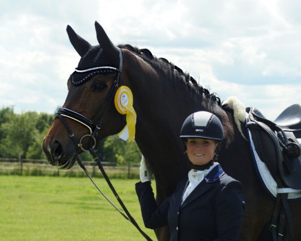 dressage horse Amazing Grace 60 (Bavarian, 2013, from Antango du Feuillard)