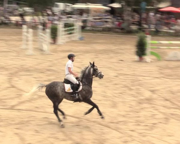 Großes Reit- und Springturnier Herbern 2016