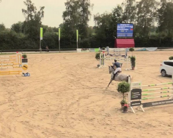 Großes Reit- und Springturnier Herbern 2016