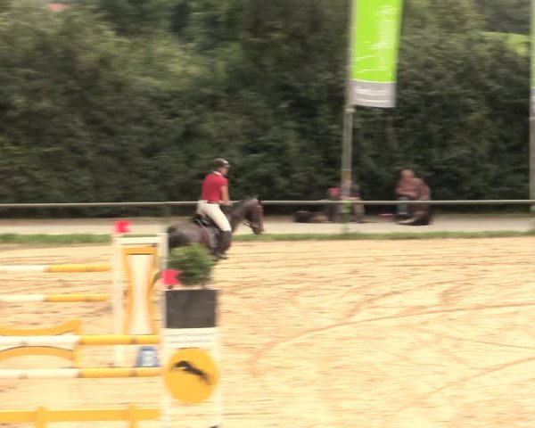 Großes Reit- und Springturnier Herbern 2016
