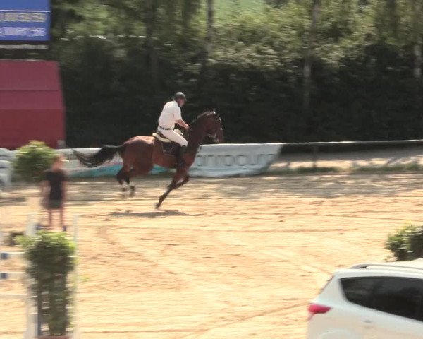 Großes Reit- und Springturnier Herbern 2016
