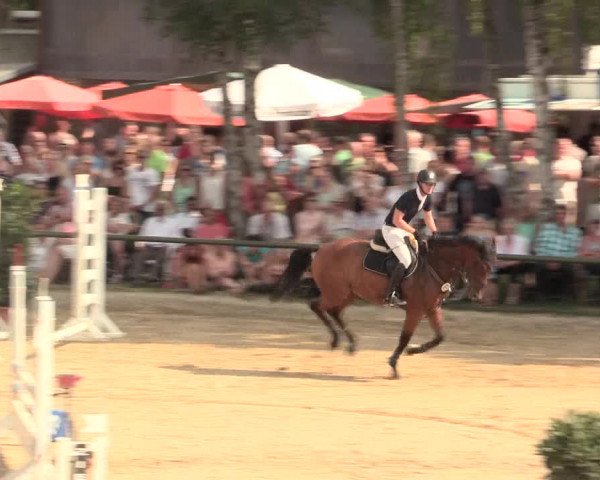 Großes Reit- und Springturnier Herbern 2016