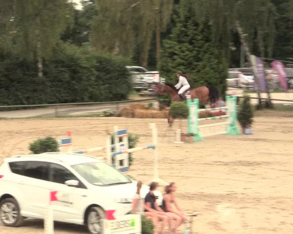 Großes Reit- und Springturnier Herbern 2016