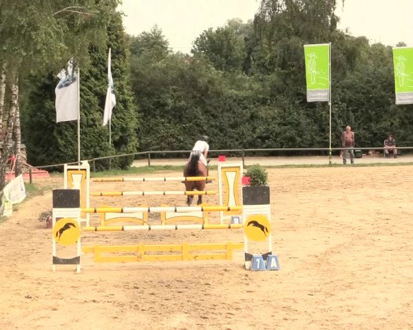 Großes Reit- und Springturnier Herbern 2016