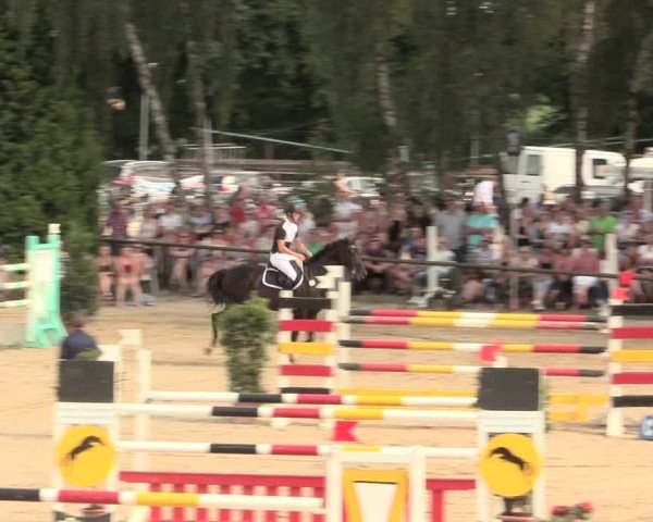 Großes Reit- und Springturnier Herbern 2016