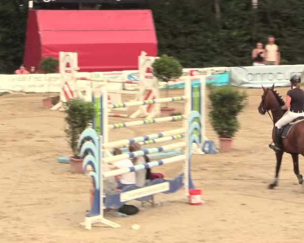 Großes Reit- und Springturnier Herbern 2016