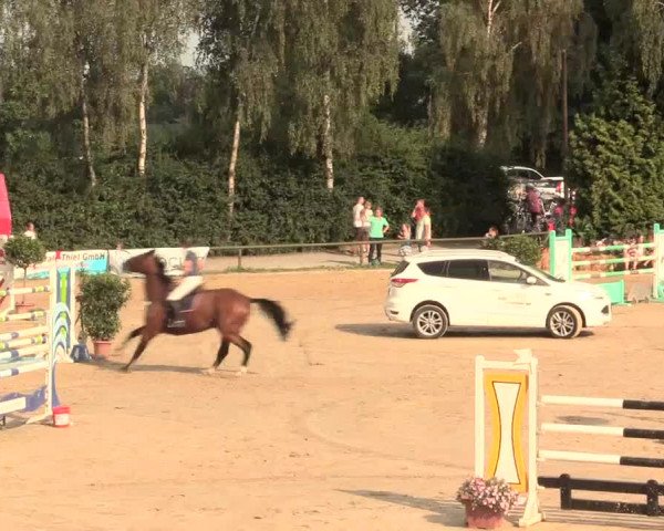 Großes Reit- und Springturnier Herbern 2016