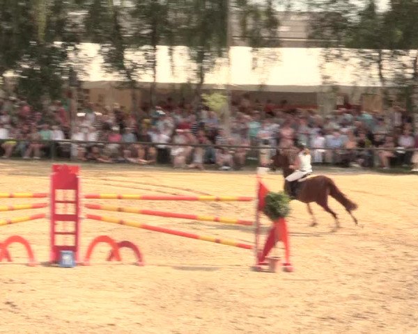 Großes Reit- und Springturnier Herbern 2016