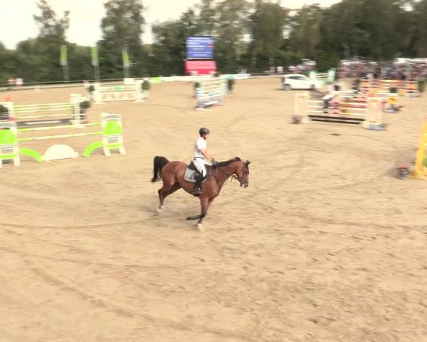 Großes Reit- und Springturnier Herbern 2016