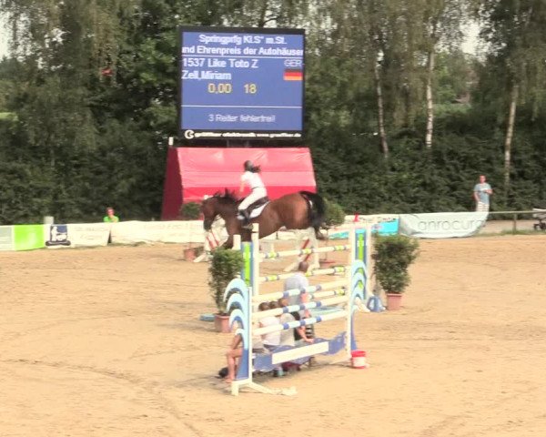 Großes Reit- und Springturnier Herbern 2016