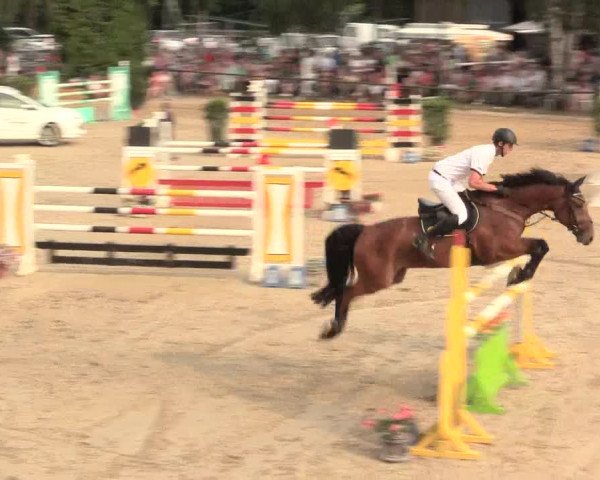 Großes Reit- und Springturnier Herbern 2016