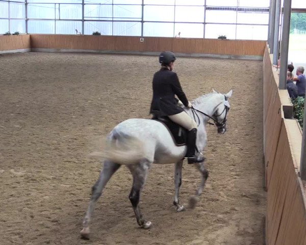 Großes Reit- und Springturnier Herbern 2016