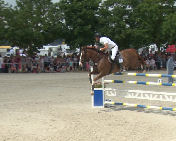 Reitturnier Rot am See-Musdorf 2016