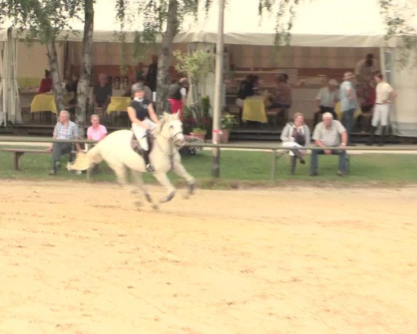 Großes Reit- und Springturnier Herbern 2016