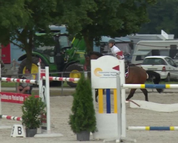 Reitturnier Rot am See-Musdorf 2016