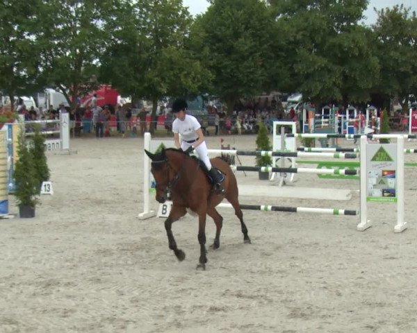 Reitturnier Rot am See-Musdorf 2016