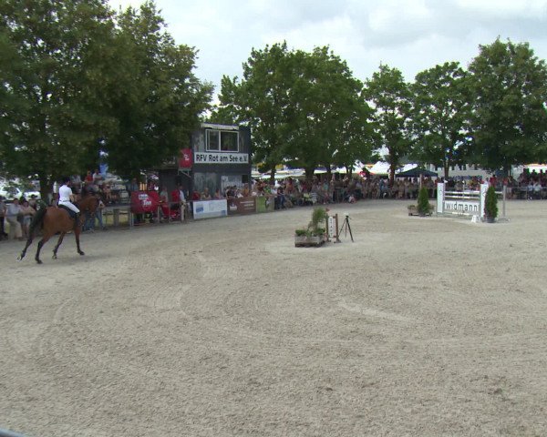 Reitturnier Rot am See-Musdorf 2016