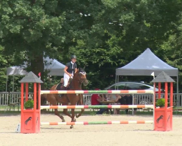 Reitturnier Rot am See-Musdorf 2016