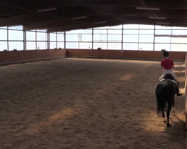 Großes Reit- und Springturnier Herbern 2016