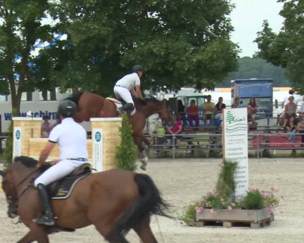 Reitturnier Rot am See-Musdorf 2016