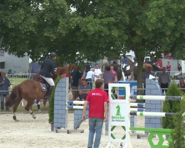 Reitturnier Rot am See-Musdorf 2016