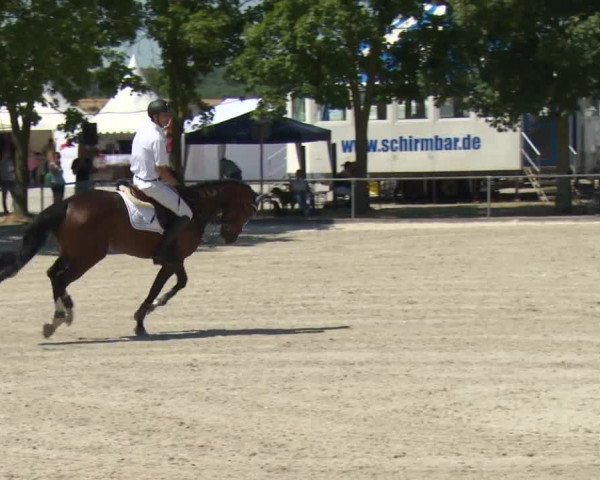 Reitturnier Rot am See-Musdorf 2016