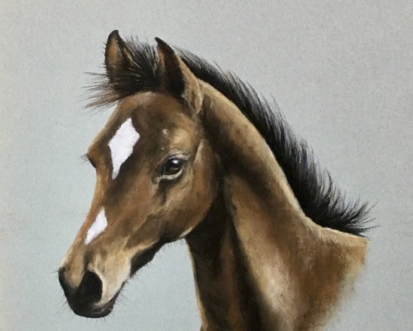 horse Pure Motion (Trakehner, 2017, from High Motion 2)