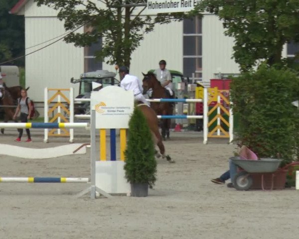 Reitturnier Rot am See-Musdorf 2016