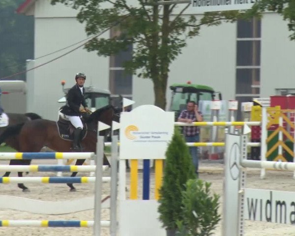 Reitturnier Rot am See-Musdorf 2016