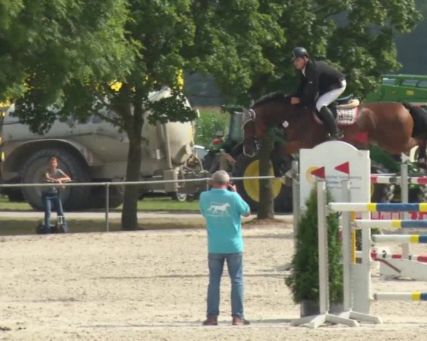 Reitturnier Rot am See-Musdorf 2016