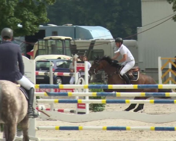 Reitturnier Rot am See-Musdorf 2016