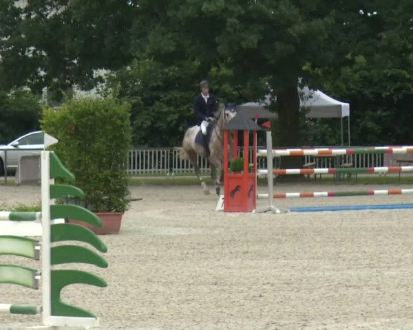Reitturnier Rot am See-Musdorf 2016