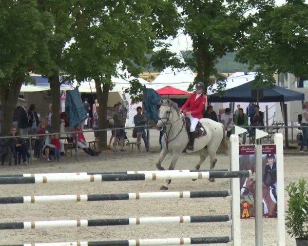 Reitturnier Rot am See-Musdorf 2016