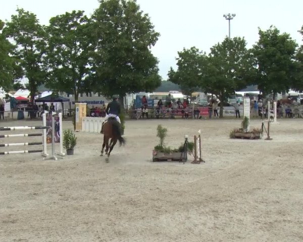 Reitturnier Rot am See-Musdorf 2016