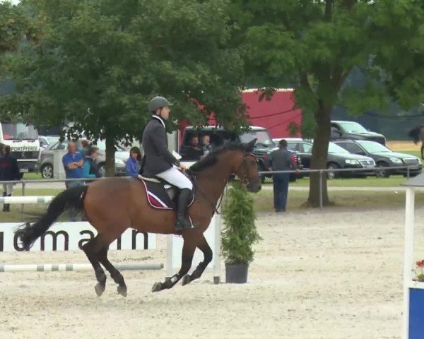 Reitturnier Rot am See-Musdorf 2016