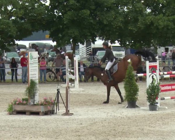 Reitturnier Rot am See-Musdorf 2016