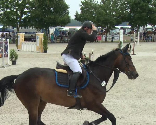 Reitturnier Rot am See-Musdorf 2016