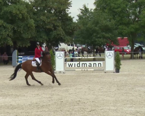 Reitturnier Rot am See-Musdorf 2016