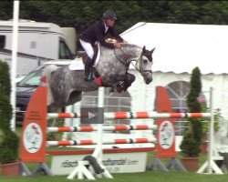 broodmare Ewiona DL (Holsteiner, 2012, from Casall Ask)