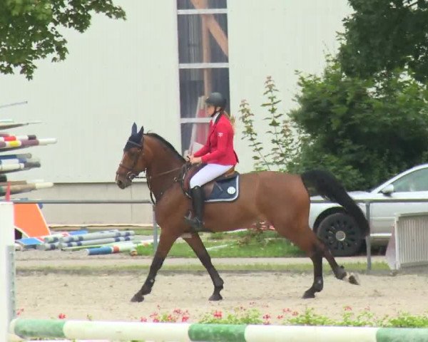 Reitturnier Rot am See-Musdorf 2016