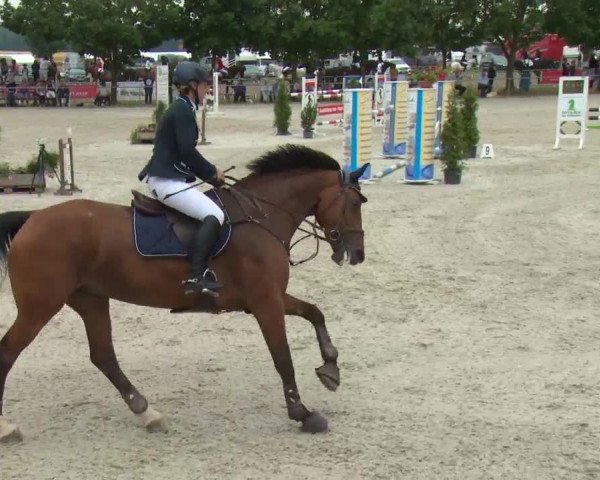 Reitturnier Rot am See-Musdorf 2016