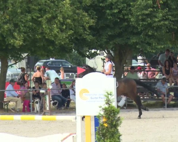Reitturnier Rot am See-Musdorf 2016